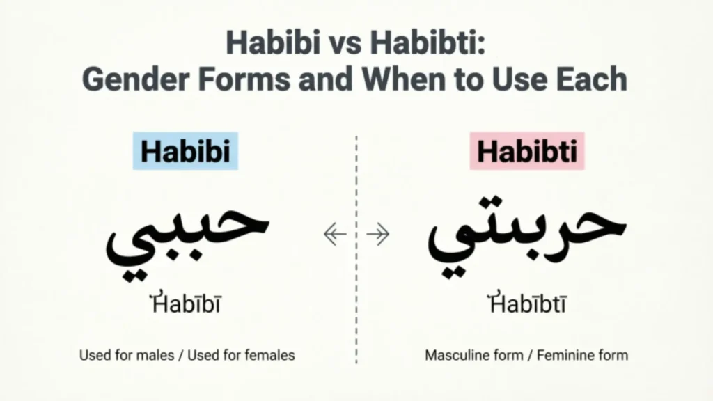 Habibi vs Habibti: Gender Forms and When to Use Each