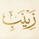 Zeinab Meaning in Arabic